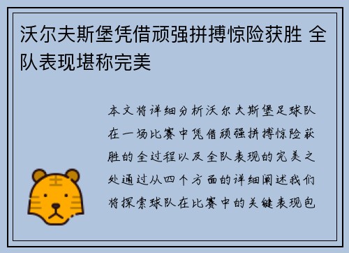 沃尔夫斯堡凭借顽强拼搏惊险获胜 全队表现堪称完美
